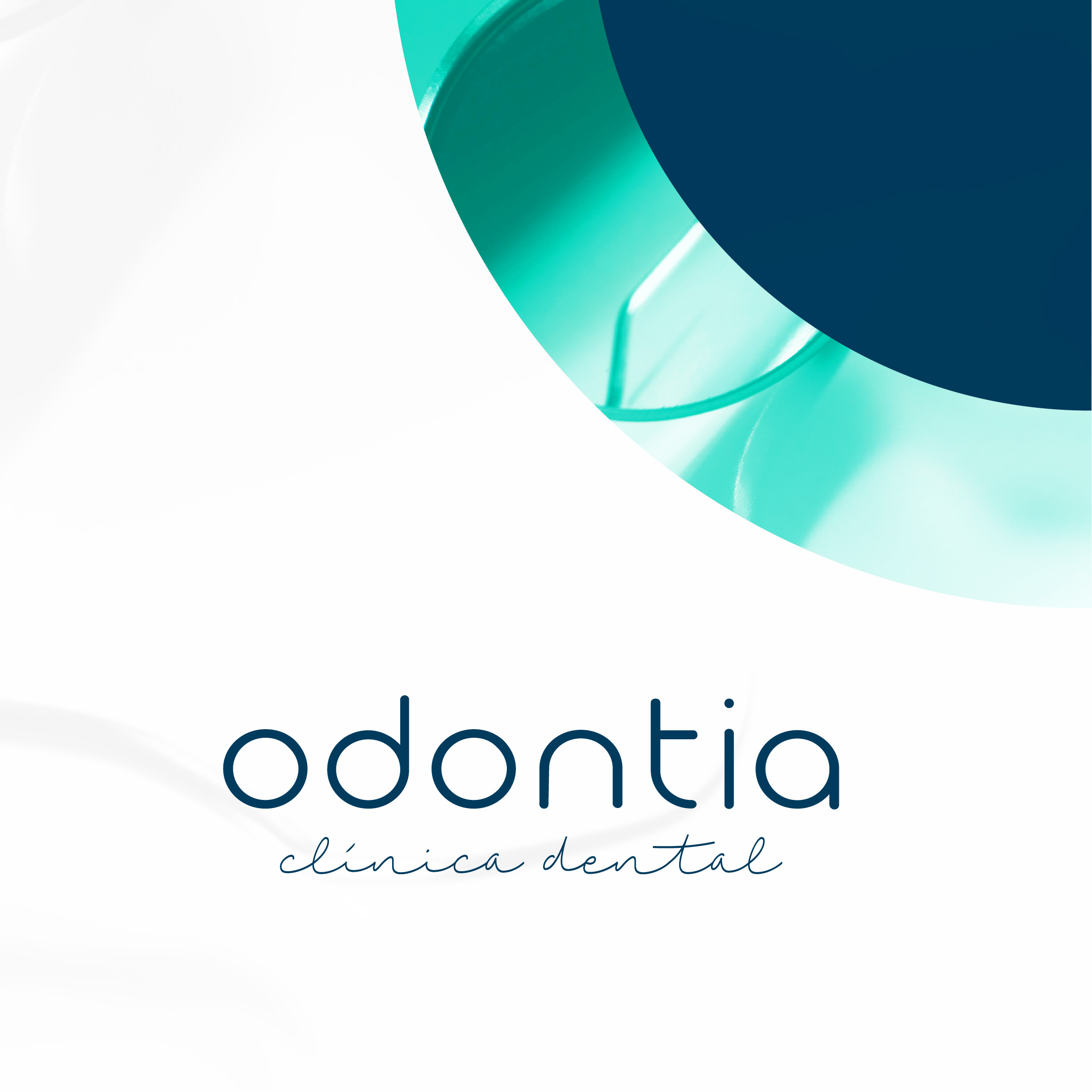 Odontia